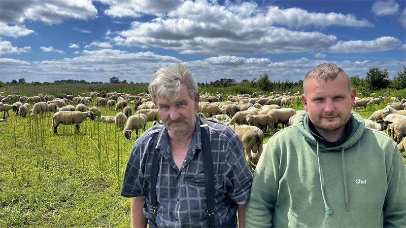 Elias Konze (rechts) ist der neue Schäfer beim Deichverband Kehdingen-Oste. Sein Vater Thomas (links) ist zwar schon Rentner, hilft aber noch aus.