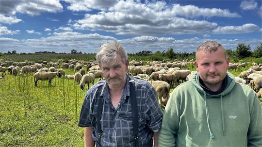 Elias Konze (rechts) ist der neue Schäfer beim Deichverband Kehdingen-Oste. Sein Vater Thomas (links) ist zwar schon Rentner, hilft aber noch aus.