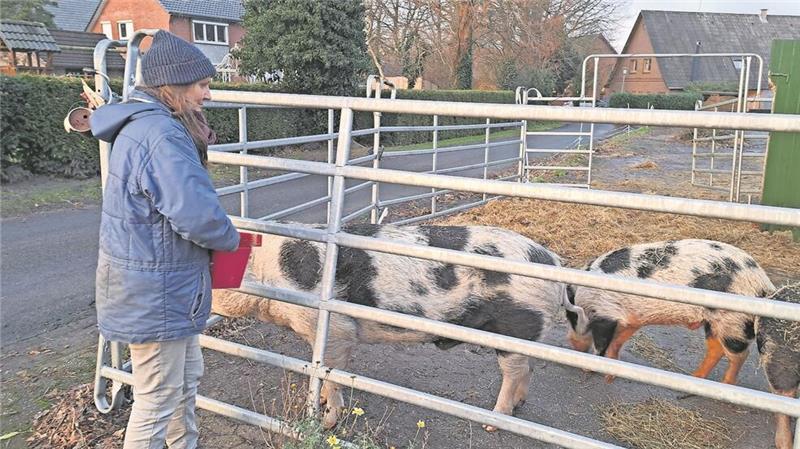 Elke Gillich sucht dringend eine neue Unterkunft für ihre drei Schweine und zahlreiche weitere Tiere.