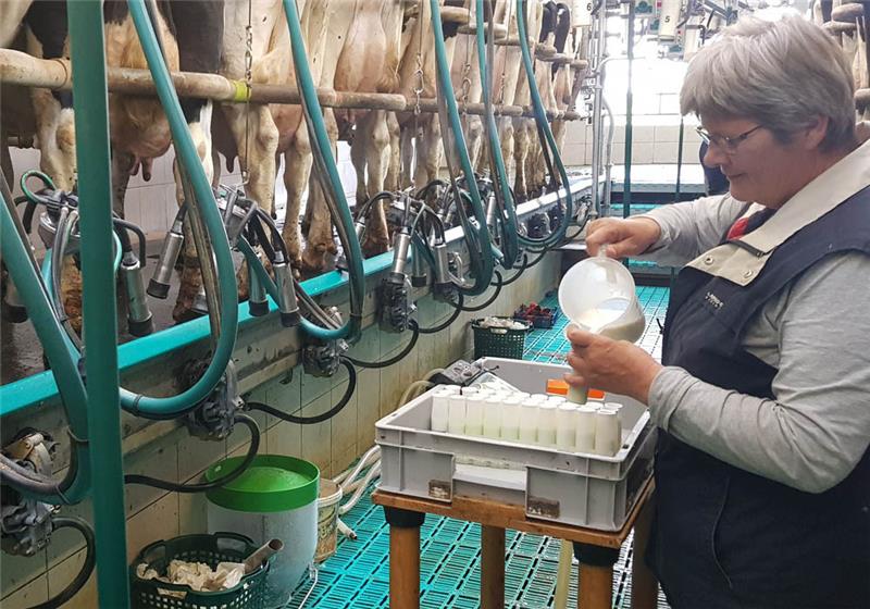 Elke Graske kommt als Milchkontrolleurin einmal pro Monat in Löhdens Kuhstall. Fotos: Löhden