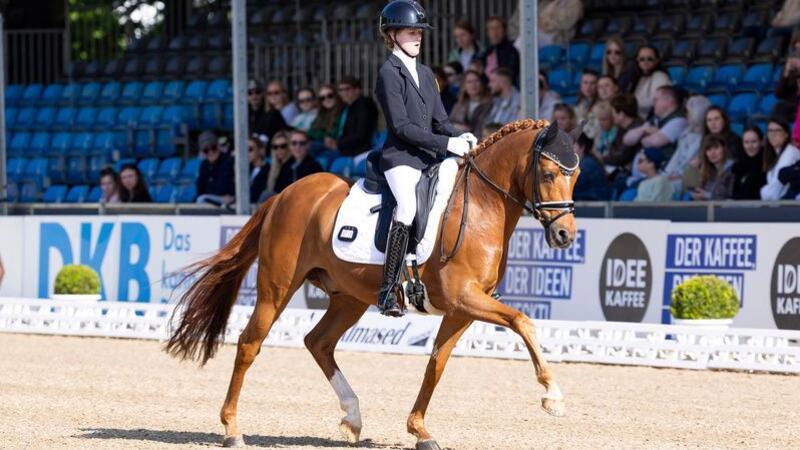 Emily und Carlo: Mit Geduld, Training und Talent zum Vize-Derbysieg Emily und Carlo beim Hamburger Derby im Dressur-Viereck. Der Trab ist die Stärke des Ponywallachs.