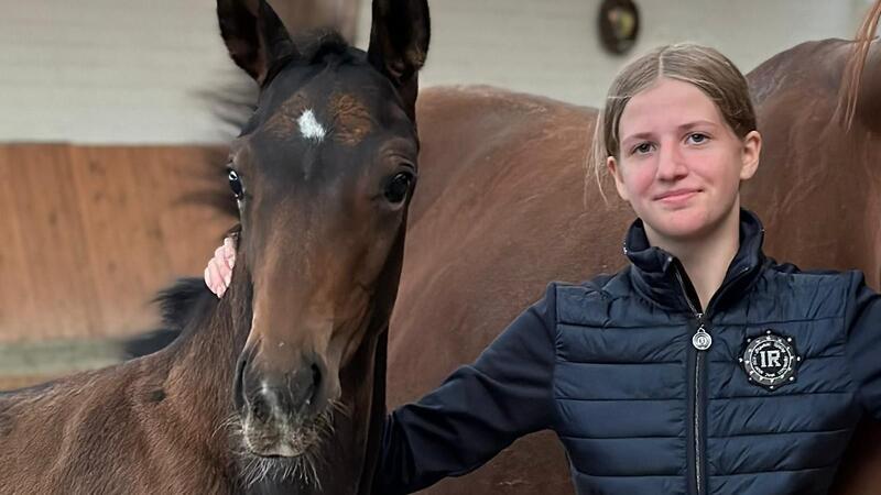 Emily und Carlo: Mit Geduld, Training und Talent zum Vize-Derbysieg Emily vor einem Jahr mit einem der Fohlen aus dem Zuchtstall ihrer Eltern in Estorf. Oft ist sie dabei, wenn Geburten anstehen und hat ein Auge darauf, ob auch alles glatt geht.