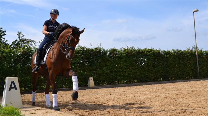 Emma Kanerva beim Training mit der Stute Feldrose. Fotos: M. Scheer