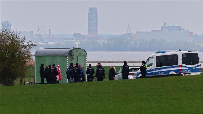 Demos & Connor im Shitstorm: Woher kommt die Wut um den Wal? Emotion bringt Aufmerksamkeit: Kaum ein Beispiel zeigt das besser als das Wal-Drama vor Poel.