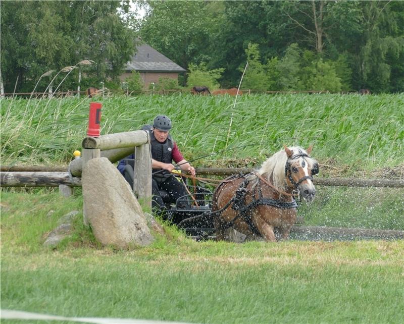 Gespanne kämpfen in Engelschoff mit widrigen Wetterbedingungen Engelschoffs Vorsitzender Klaus Wolter gewann mit „Scarlet“ die Dressur-Fahr-Prüfung. Foto: Verein