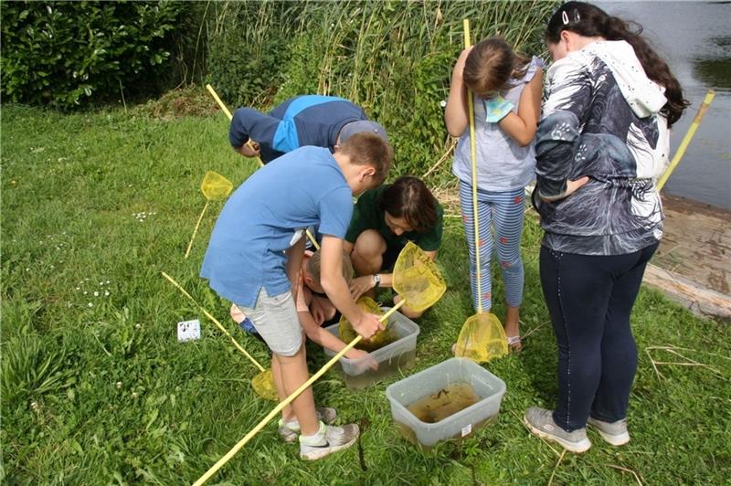 „Entdeckungen auf dem Apfelhof“ heißt einer der Kurse. Foto: Kornspeicher
