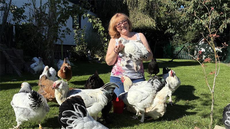 Entspannung: Bettina Brandmähl aus Dollern züchtet Hühner mit großer Leidenschaft.