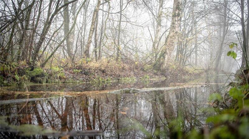 Entwässerte Moore geben Treibhausgase in die Atmosphäre ab und beschleunigen so die Erderwärmung. (Archivbild)