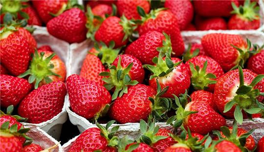 Erdbeeren schmecken pur und lassen sich süß und herzhaft zubereiten. Foto: pixabay.de