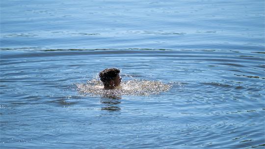 Erfrischender Tauchgang oder Person in Not? Ist man sich nicht sicher, ob jemand im Wasser Hilfe braucht, sollte man mit Rufen nachfragen.