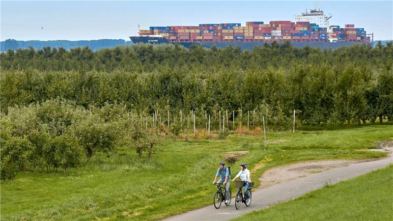 Tourismusstudie: Was dem Tourismus im Kreis Stade noch alles fehlt Erlebnis: Fahrradfahren am Deich mit Blick auf Elbe und Containerschiffe.