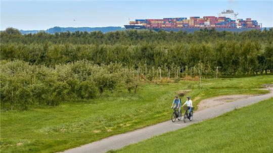 Erlebnis: Fahrradfahren am Deich mit Blick auf Elbe und Containerschiffe.