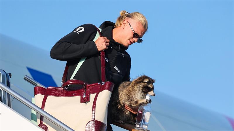 Das war die WM-Nacht: Halbfinal-Vorfreude und ein Waschbär Erling Haaland und sein Waschbär.