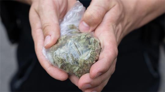 Ermittler beschlagnahmten mehr als 1,2 Tonnen Cannabis. (Symbolbild)