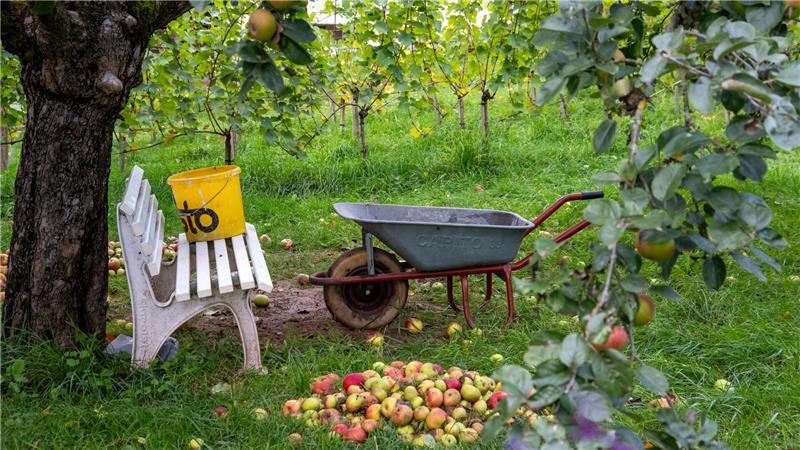 Erntedankfest: Herbstliche Stimmung auf dem Land in Untermerzbach