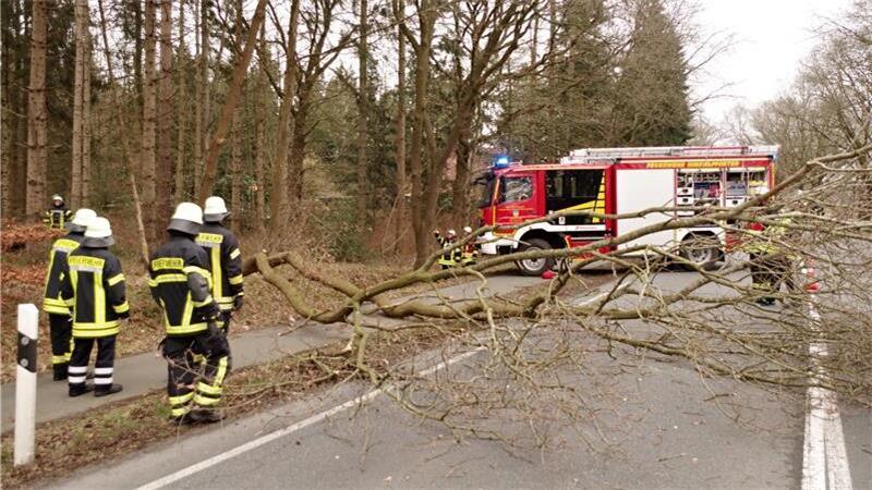 Erst am Mittwoch sorgten umgestürzte Bäume für Feuerwehreinsätze.
