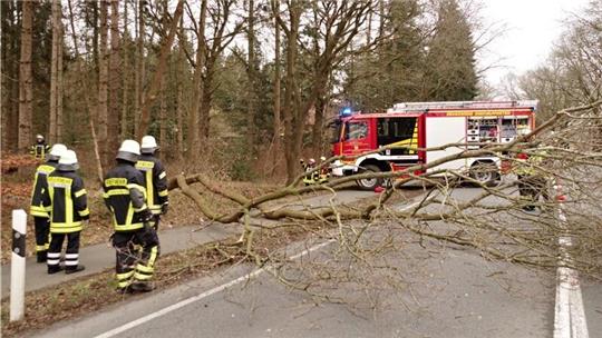 Erst am Mittwoch sorgten umgestürzte Bäume für Feuerwehreinsätze.