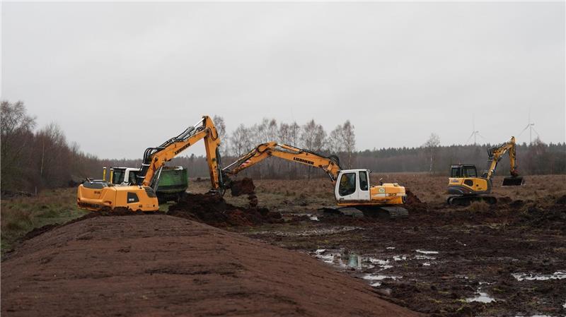 Erst das schwere Gerät, dann der Nutzen für Natur und Klima. Damit das Wasser im Moor bleibt, sind Dämme nötig.