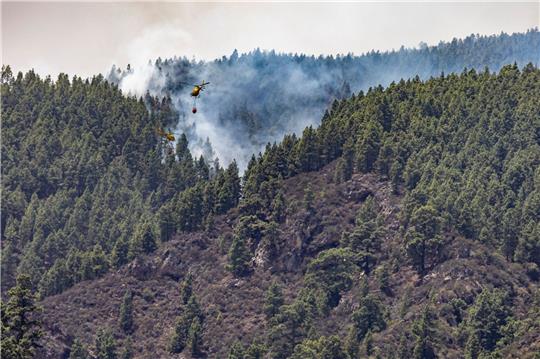 Erst im August hatte es einen verheerenden Waldbrand auf der spanischen Urlaubsinsel gegeben. Wie auf dem Bild zu sehen, waren auch Löschhubschrauber im Einsatz. (Archivbild)