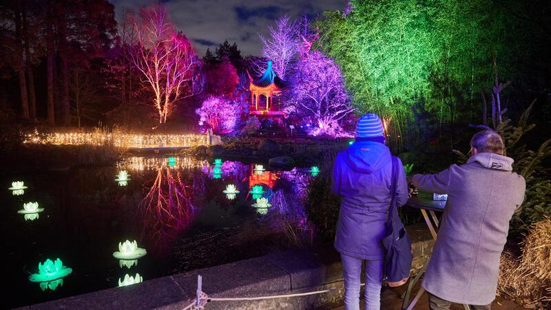 Erste Besucher stehen vor Lichtinstallationen im Christmas Garden Loki-Schmidt-Garten vorbei.