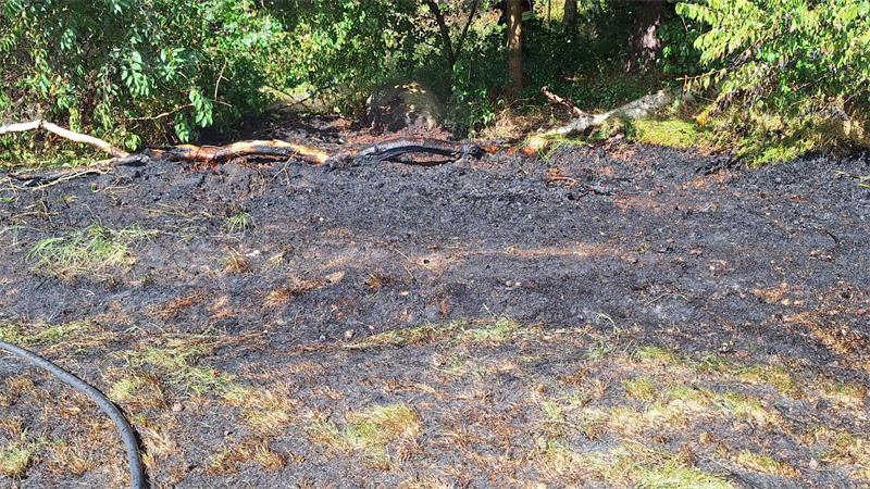 Schreie an der Oste: Angler (77) in misslicher Lage Es blieb bei verbranntem Gras; eine stärkere Ausbreitung der Flammen konnte verhindert werden.
