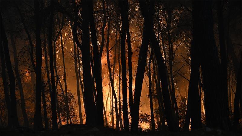Waldbrände: Schwere Nacht für Griechenland Es brennt die ganze Nacht. Die einzige Hoffnung: Dass der Wind abschwächt.