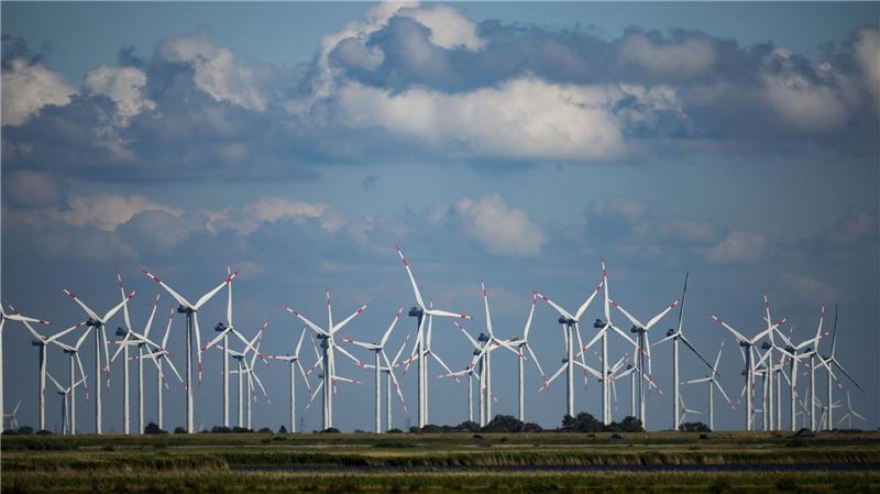 FDP und Wohnungsverband gegen Günthers Klimaziele Es gibt Kritik an den Klimaschutzzielen der Landesregierung. (Symbolbild)