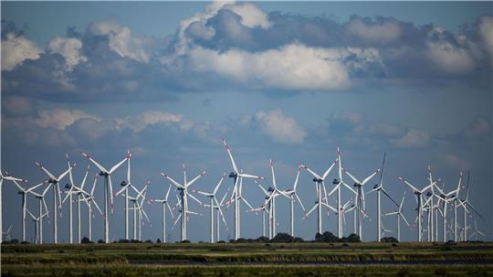 Es gibt Kritik an den Klimaschutzzielen der Landesregierung. (Symbolbild)