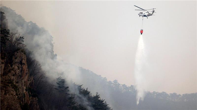 Zahl der Toten bei Waldbränden in Südkorea steigt auf 27 Es handelt sich um die größten Waldbrände in der Geschichte des Landes.