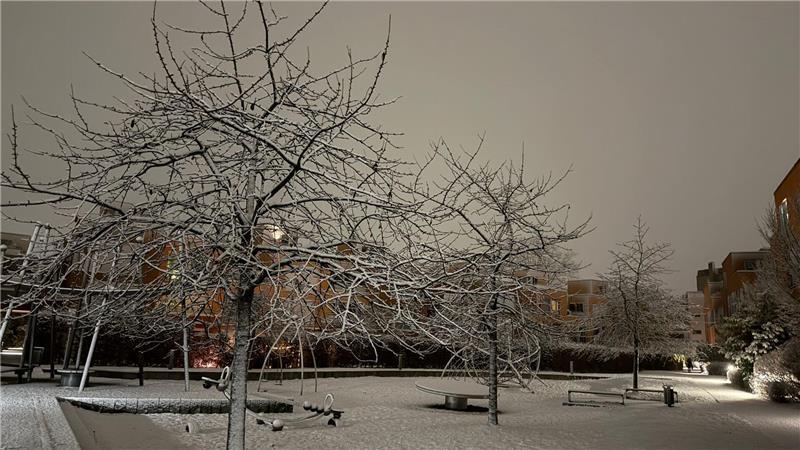 Es hat geschneit in Hamburg.