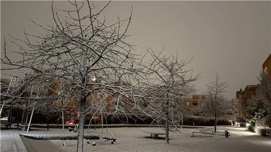 Es hat geschneit in Hamburg.