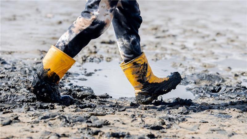 Es ist das Musikfestival am Wattenmeer: Zum „Watt en Schlick Festival“ in Dangast (Landkreis Friesland) werden täglich rund 6.500 Gäste erwartet.