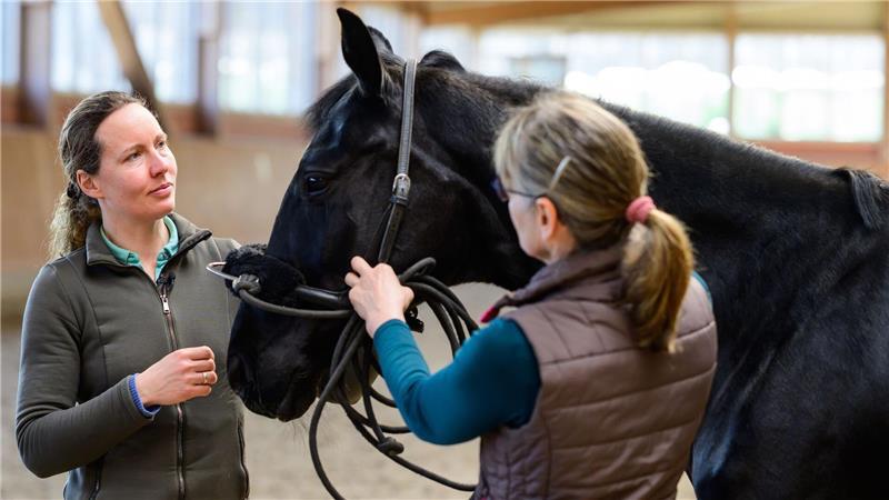 „Es ist ein wenig wie Pilates für Pferde“, erklärt Andrea Engeler-Bading, Besitzerin des Hofes Fehmbusch.