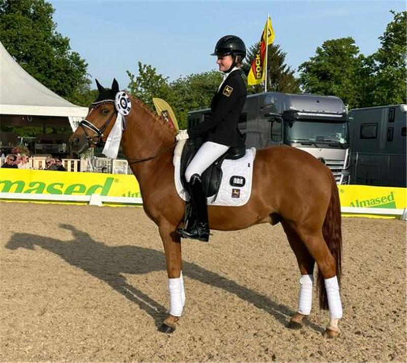 Emily und Carlo: Mit Geduld, Training und Talent zum Vize-Derbysieg Es scheint, als würde Carlo sich mit Schleife an der Trense noch einmal richtig groß machen.