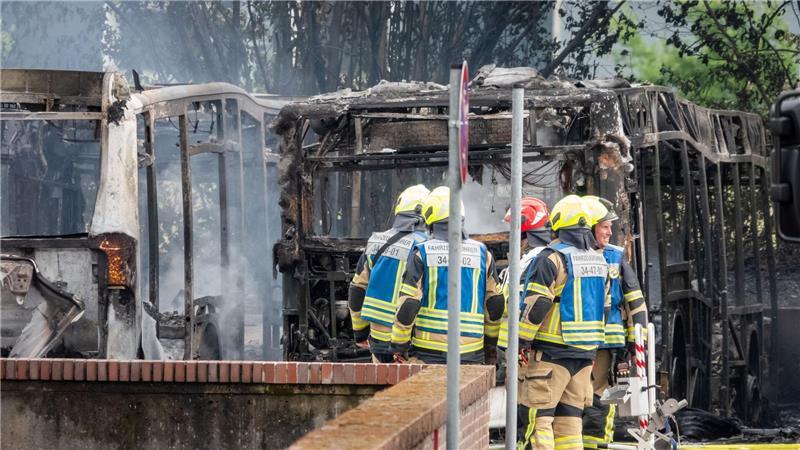 „Es sind insgesamt sieben Busse betroffen, davon sind sechs vollständig ausgebrannt“, teilte die Feuerwehr mit.