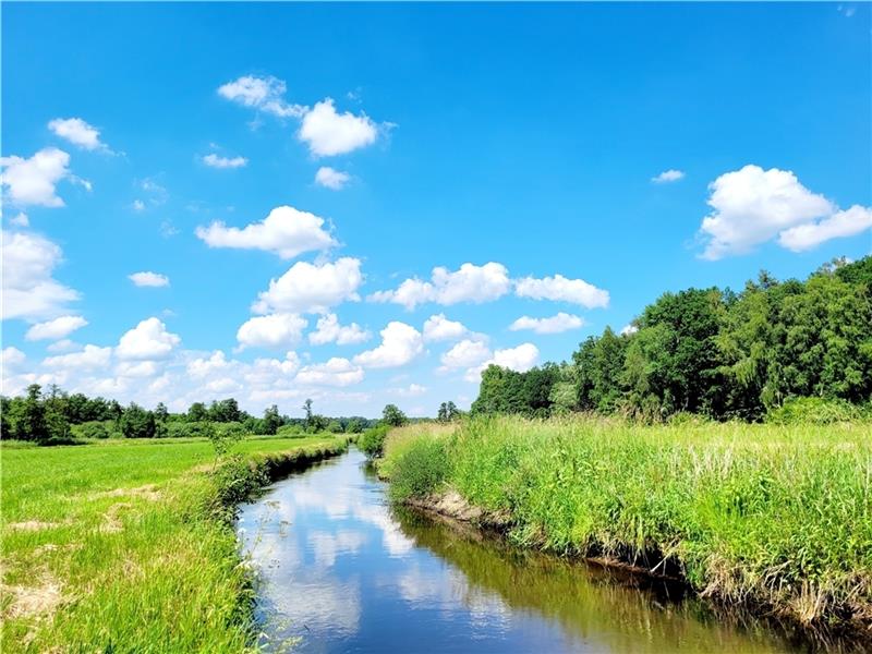 Este-Wanderweg: Wo der Eisvogel Fisch fängt Estelauf bei Nindorf. Foto: Dammann