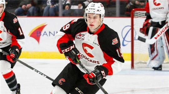 Ethan Browne spielte zuletzt für die Hazelton Wolverines.