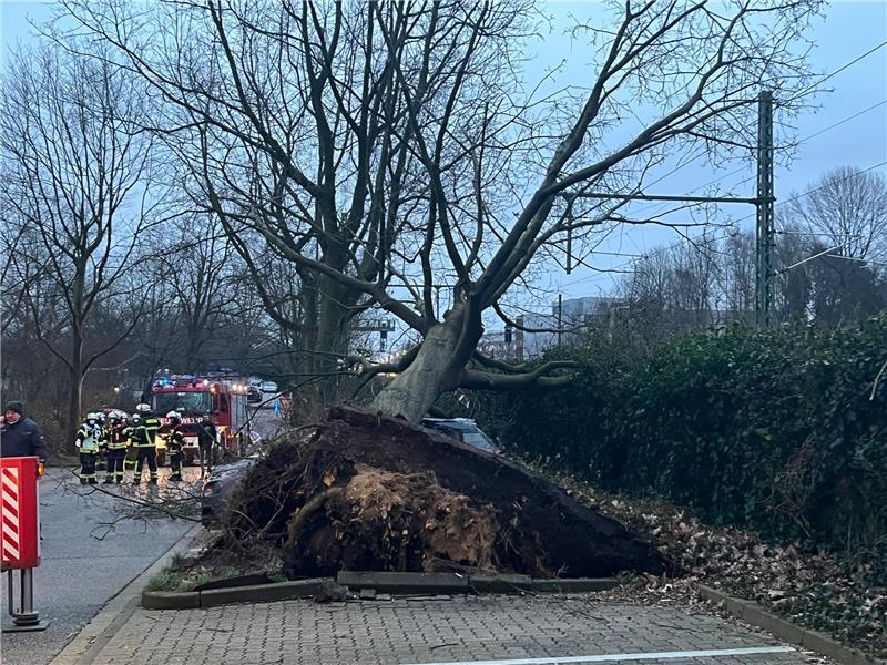 Etliche Bäume im Landkreis Stade wurden durch den Sturm entwurzelt.
