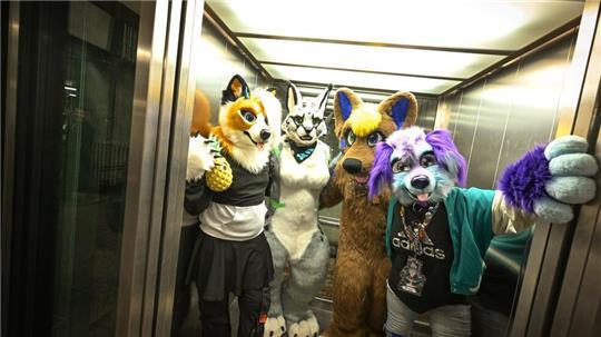 Etwa 100.000 Menschen gehören Schätzungen zufolge mittlerweile dem Furry Fandom in Deutschland an - Tendenz steigend. (Archivbild)