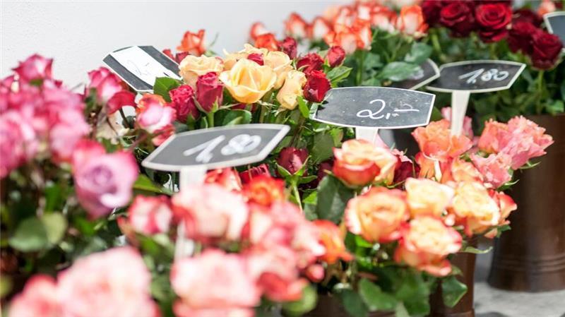 Warum riechen alle Blumenläden gleich und sind Rosen super? Etwa 6.000 Blumenfachgeschäfte gibt es in Deutschland. (Archivbild)