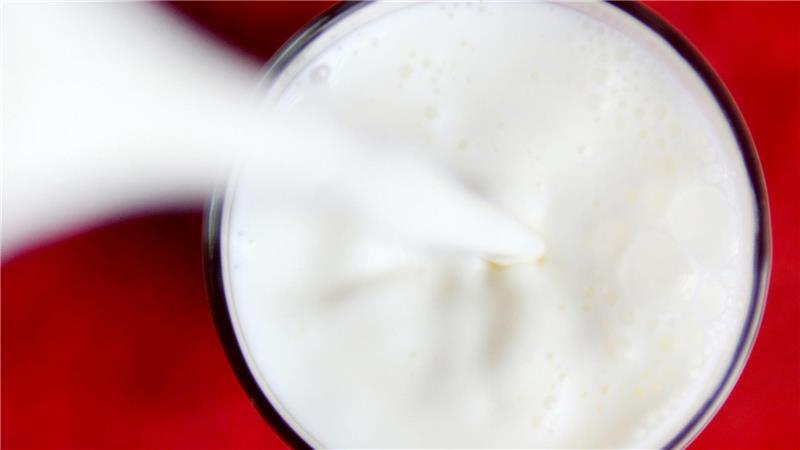Kuh oder Pflanze? Sieben Milchmythen im Check Experten: „Pflanzendrinks sind kein gleichwertiger Ersatz für Kuhmilch“