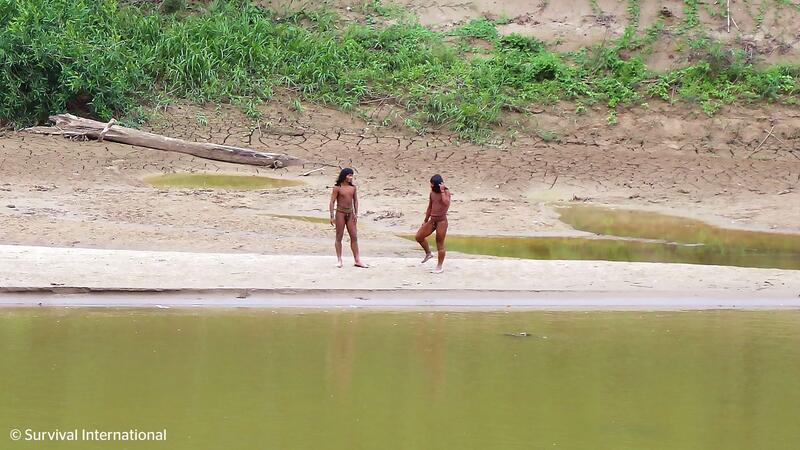 Unkontaktiertes Volk nahe Abholzungsgebiet in Peru gesichtet Experten warnen vor Krankheiten und Gewalt.