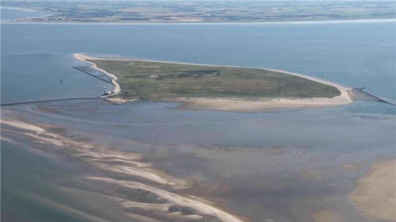 Wieder ein toter Wal auf Nordseeinsel entdeckt Experten wollen das angespülte Tier auf der Insel untersuchen. (Archivfoto)