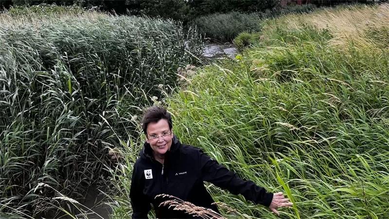 Wie Krautsand zu einer Arche Noah bedrohter Arten werden könnte Expertin für die Tideelbe: Biologin Beatrice Claus leitet das Naturschutzgroßprojekt Krautsand und steht hier an der Wischhafener Süderelbe.