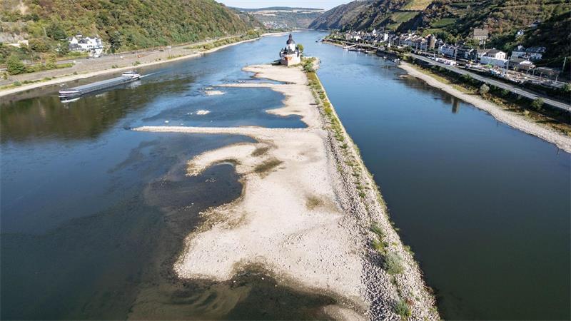 Extremes Niedrigwasser auf dem Rhein: An der Festung Pfalzgrafenstein ist der Grund des Flusses sichtbar 