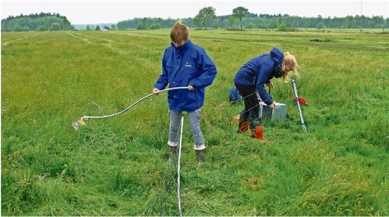 FÖJ beim Nabu: Im Einsatz für die Natur FÖJlerinnen des Nabu zäunen Nester von Wiesenvögeln ein. Foto: Kasnitz