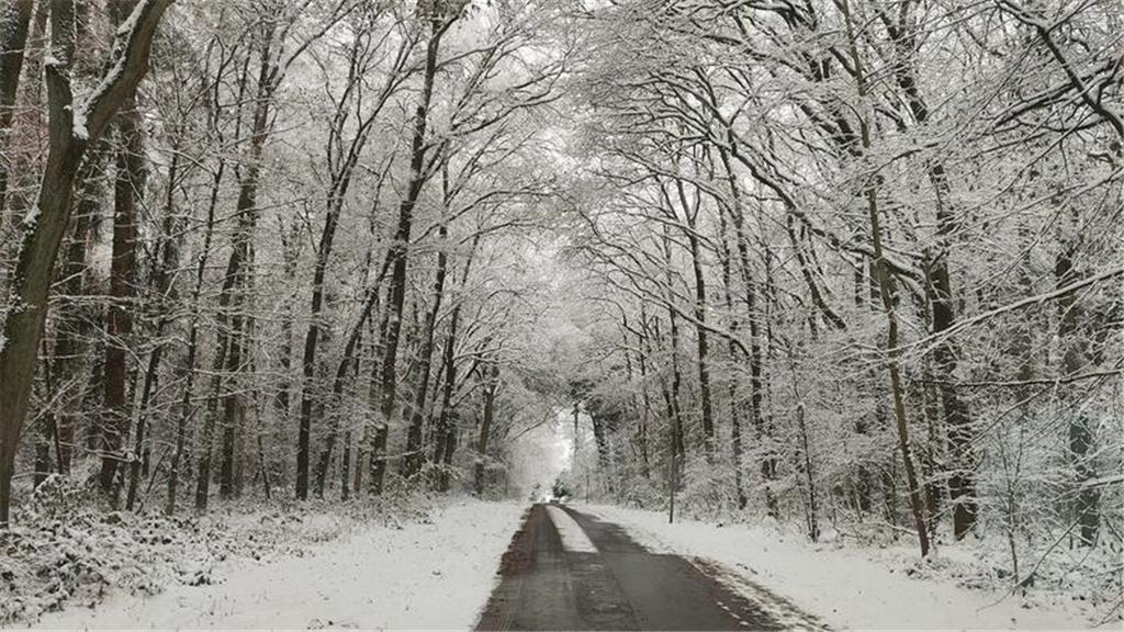 Facebook-Nutzer Michie Michel Eijs hat diese winterliche Straße abgelichtet.