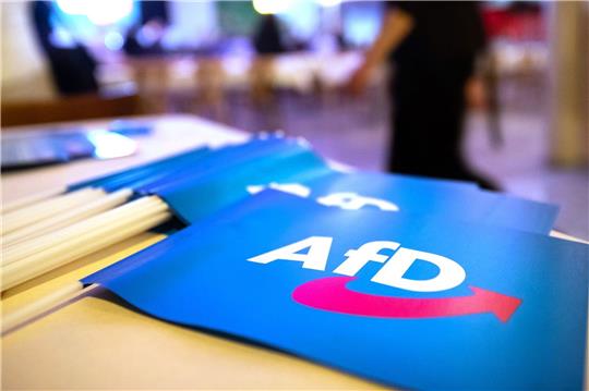 Fähnchen mit dem Logo der AfD liegen beim Landesparteitag der AfD Bayern auf einem Tisch.