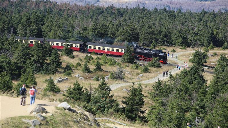 Fahrgäste der Harzer Schmalspurbahnen müssen demnächst 250 Euro zahlen, wenn sie gegen das Rauchverbot in den Zügen verstoßen. (Archivbild)