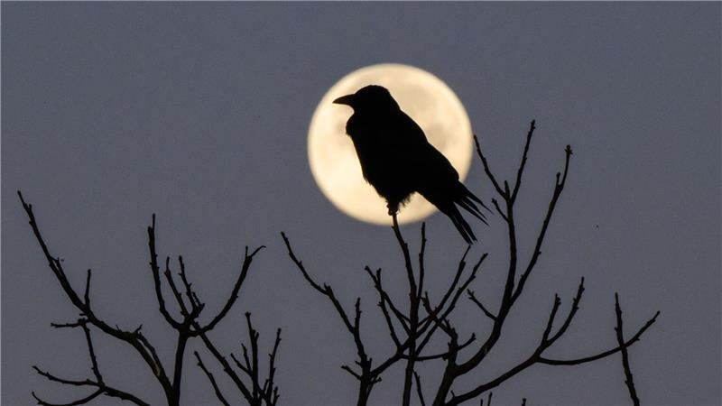 Faktoren wie Licht, die Tagesstruktur, psychische Verfassung sowie die Umgebung haben einen großen Einfluss auf unseren Schlaf, sagt Chronobiologe Spitschan. (Archivbild)